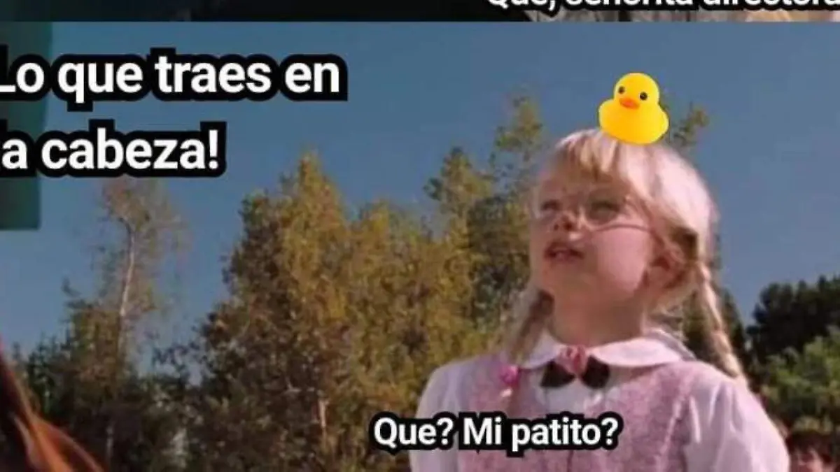 Qué significa el pollito amarillo que se ponen en la cabeza